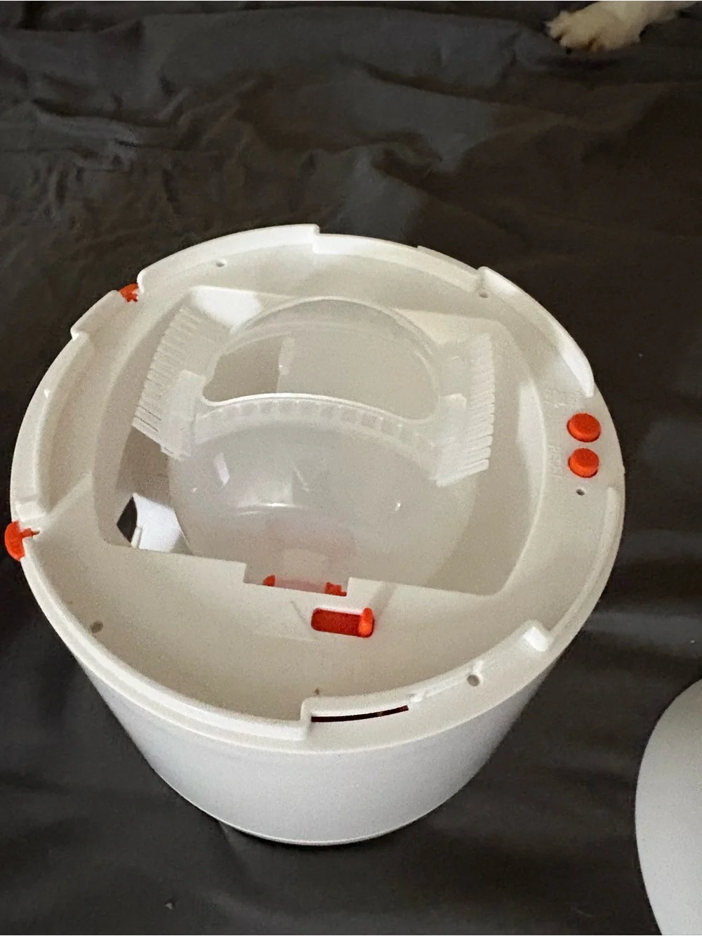 White and Dark Gray Compact Automatic Pet Feeder
